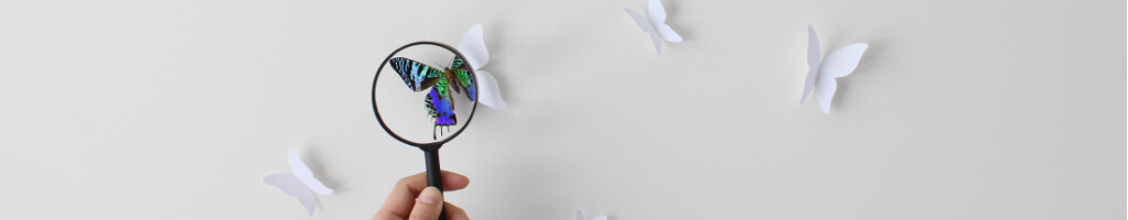 Slim banner with magnifying glass and butterfly